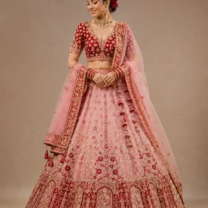 rose royale celebration lehenga set