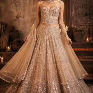 starlit muse corset lehenga